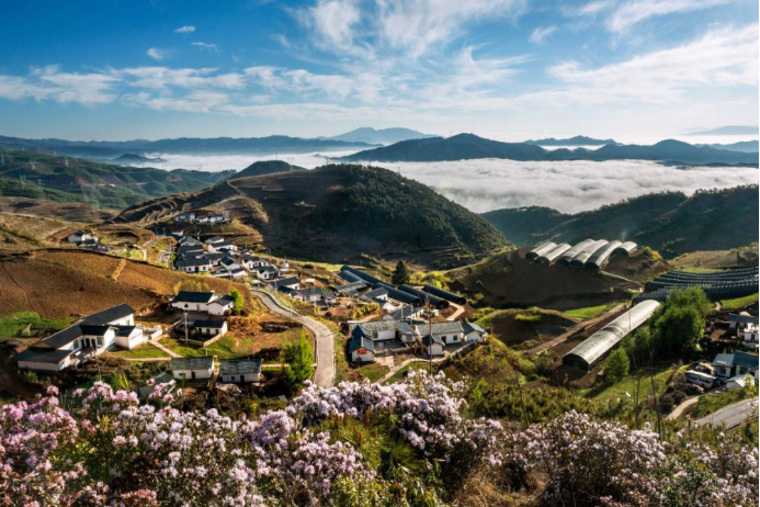 10 long8集团科技兴农 助力凉山火普村打造数字墟落804.png